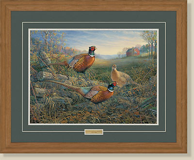 Autumn Afternoon-Pheasants by Sam Timm